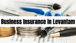 Business Insurance in Levantam