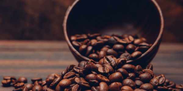 Fair Trade and Sustainable Practices