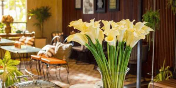 Hobby Lobby Flowers Business 3 Hobby Lobby Flowers