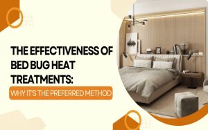 The Effectiveness of Bed Bug Heat Treatments Why Its the Preferred Method