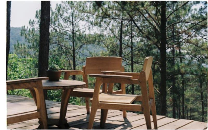 Building regulations and requirements