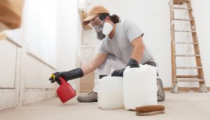 Mold Remediation During Renovations What to Keep in Mind