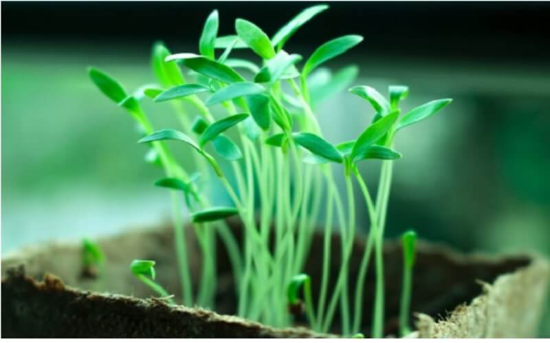 Gravel Vs. Rock Understanding The Differences And Uses