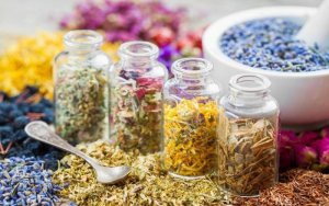 Harnessing the Power of Herbal Ingredients for Calm and Balance