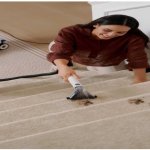 How to Remove Pet Dander from Carpets