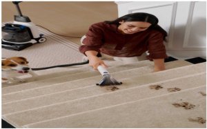 How to Remove Pet Dander from Carpets